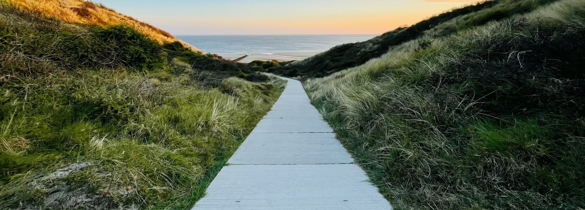 gray concrete pathway between green grass field under blue sky during daytime